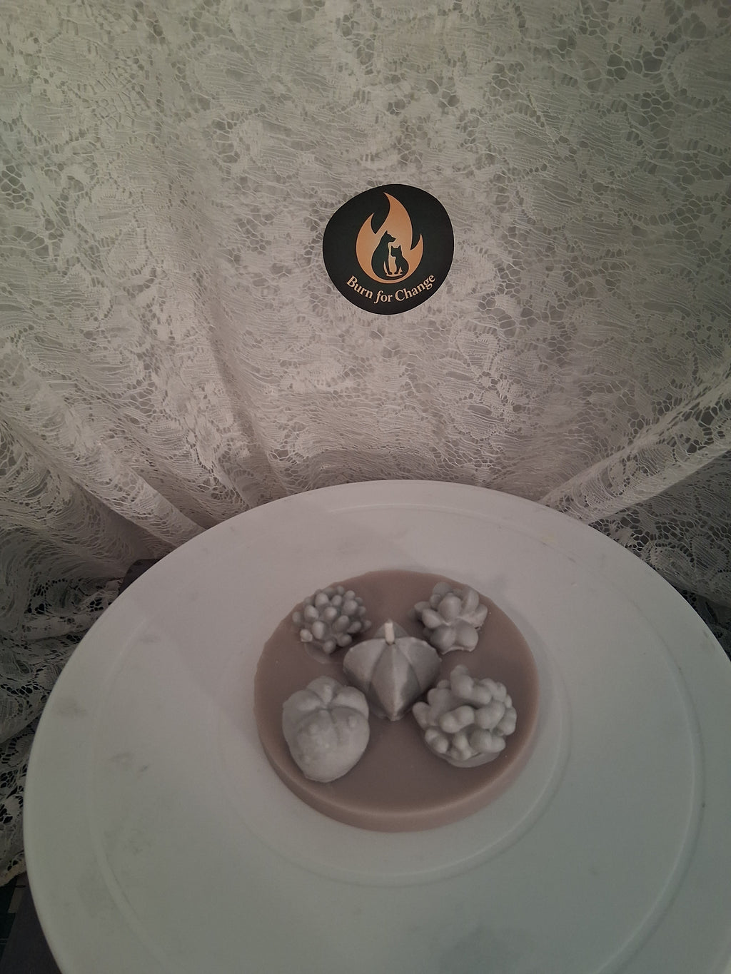 Oasis Succulent Cluster