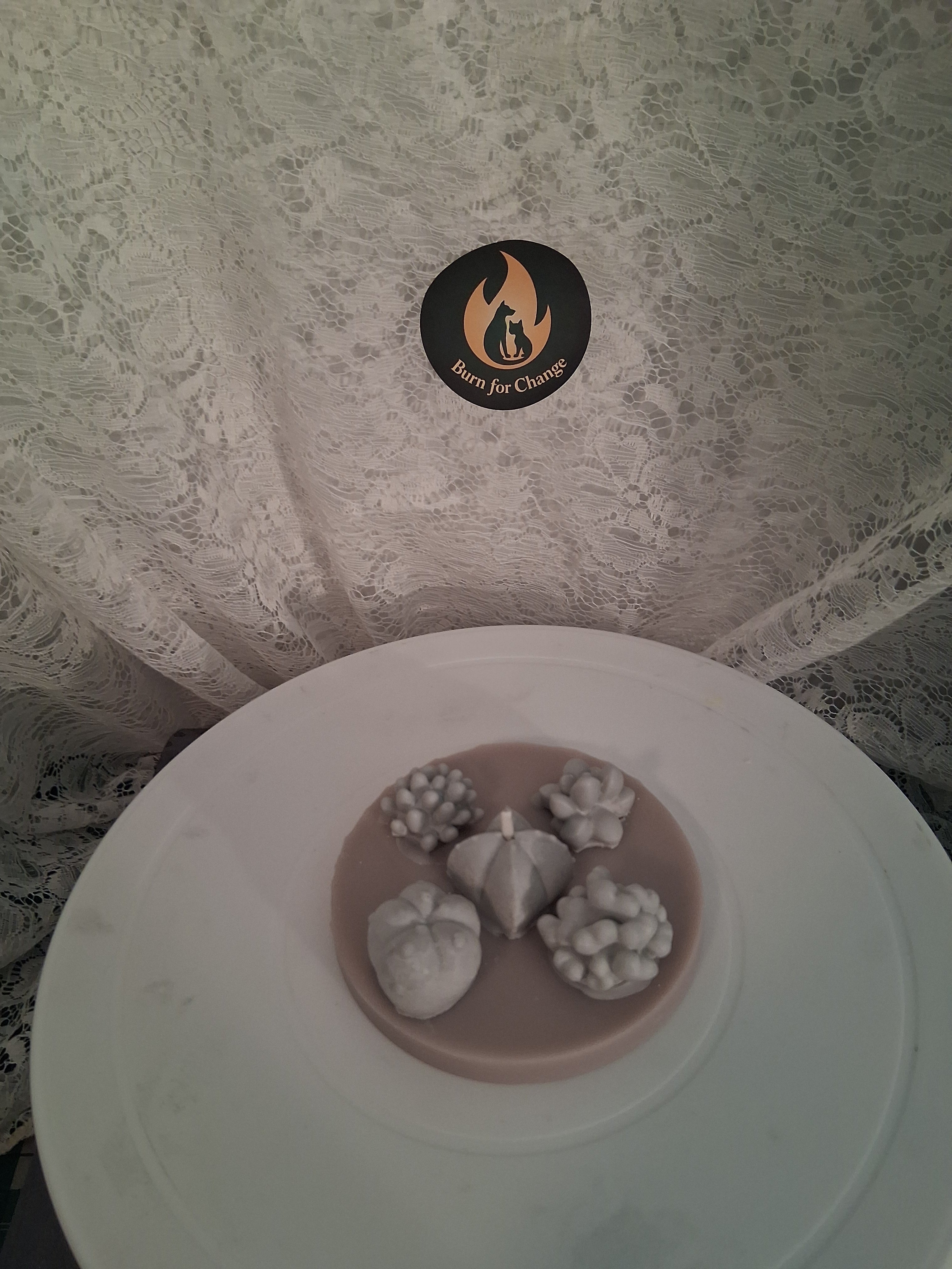 Oasis Succulent Cluster