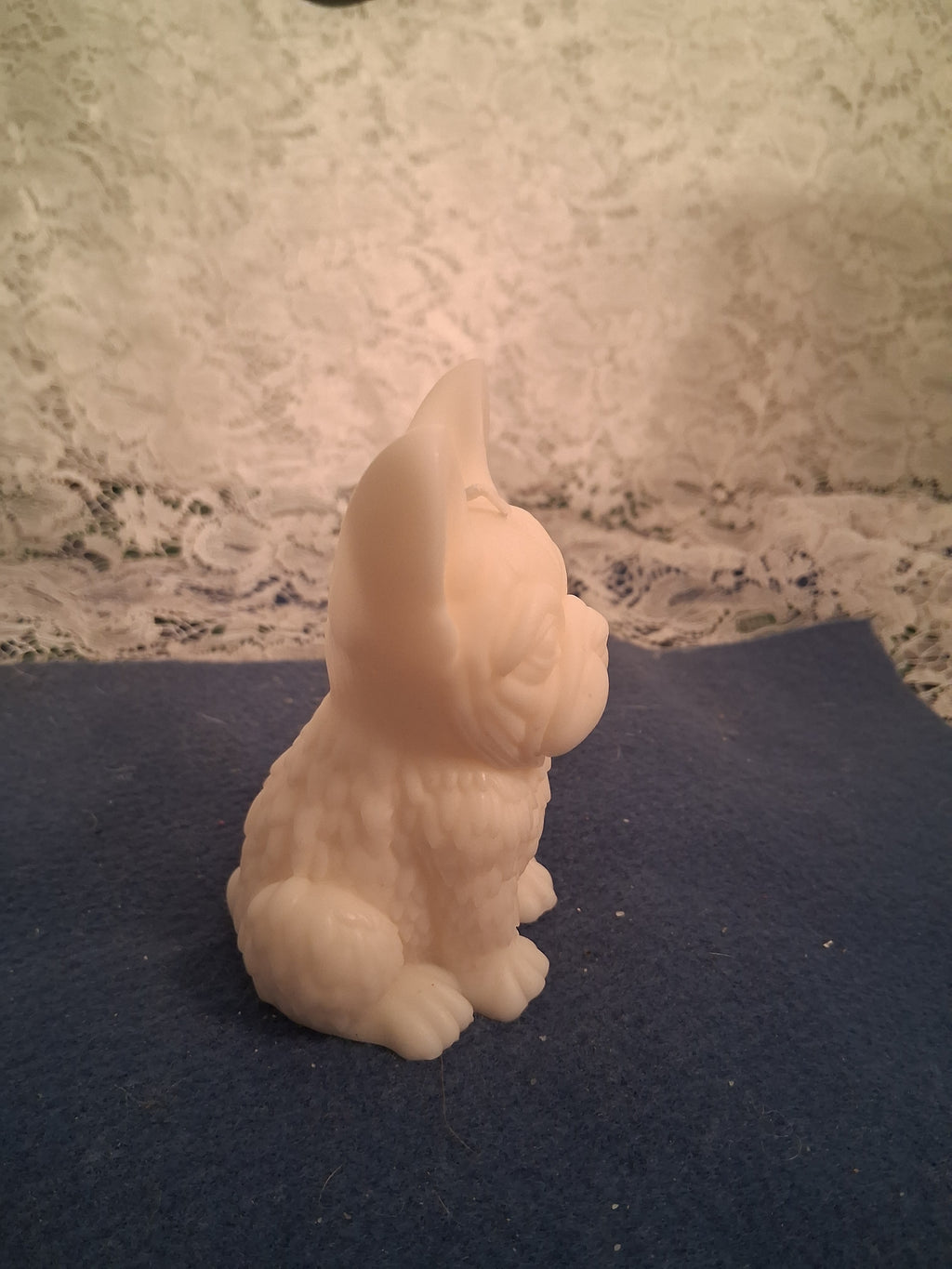 Firelight Frenchie 2