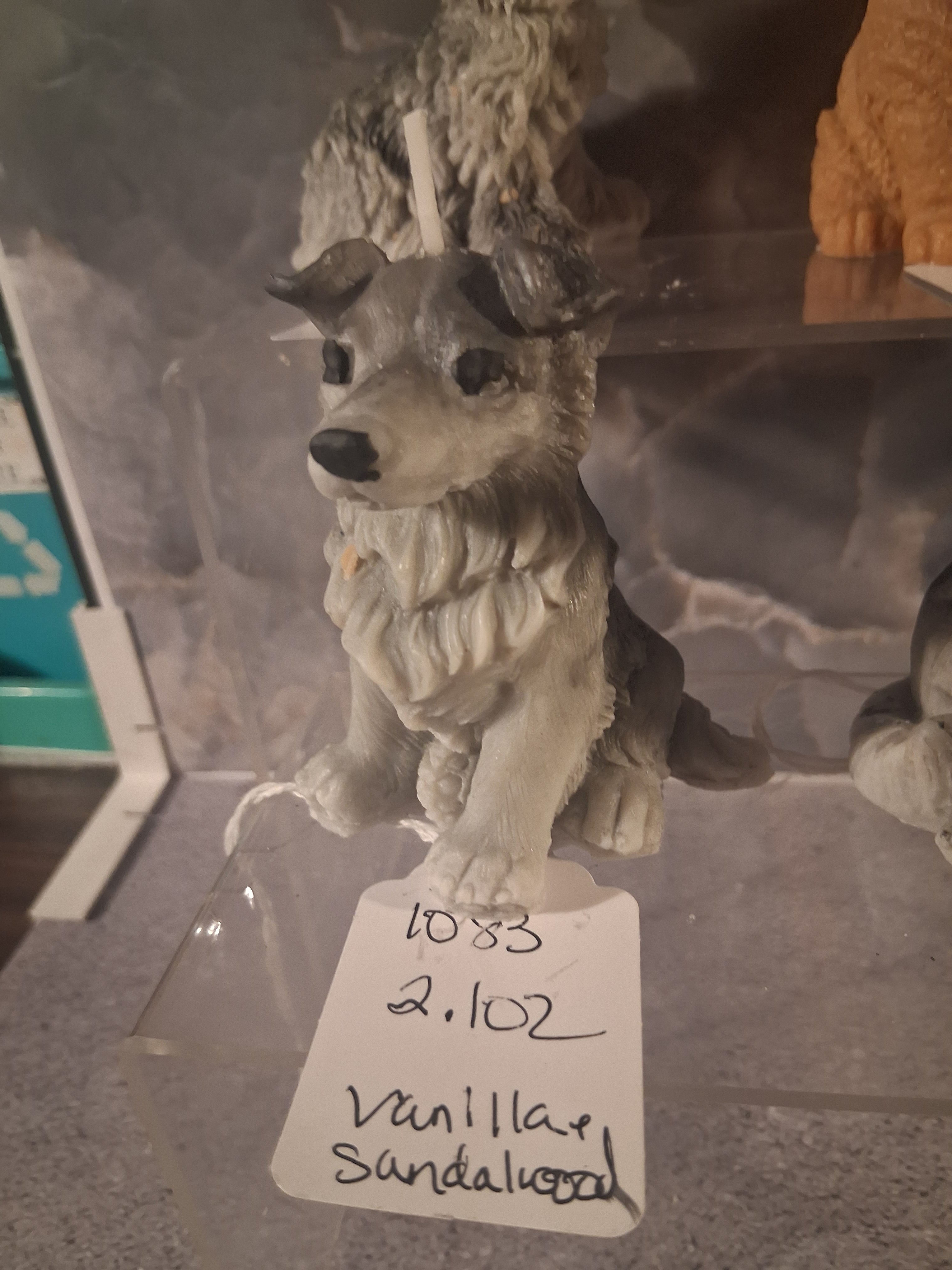Brilliant Border Collie