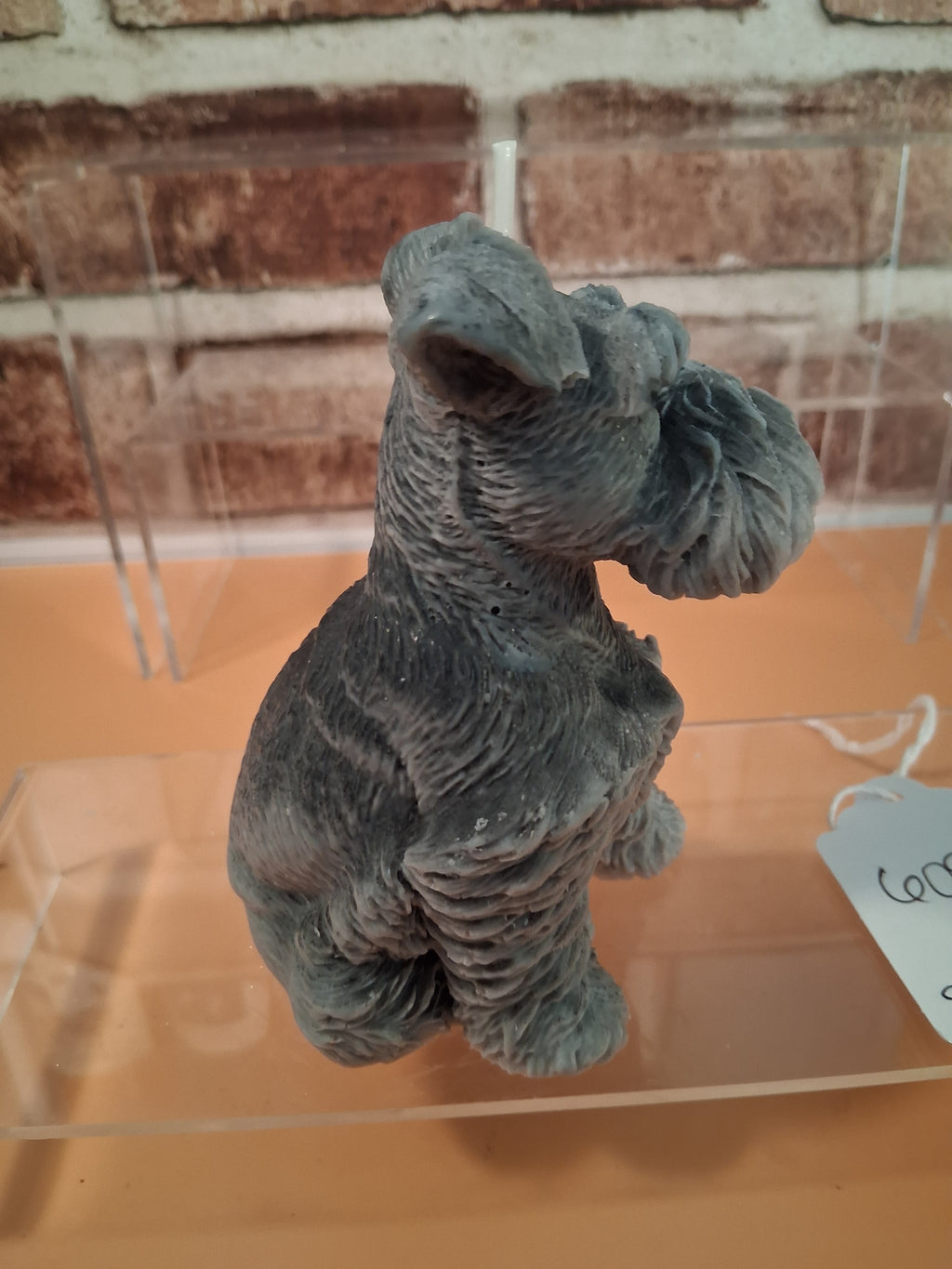 Schnauzer Spunkhouse