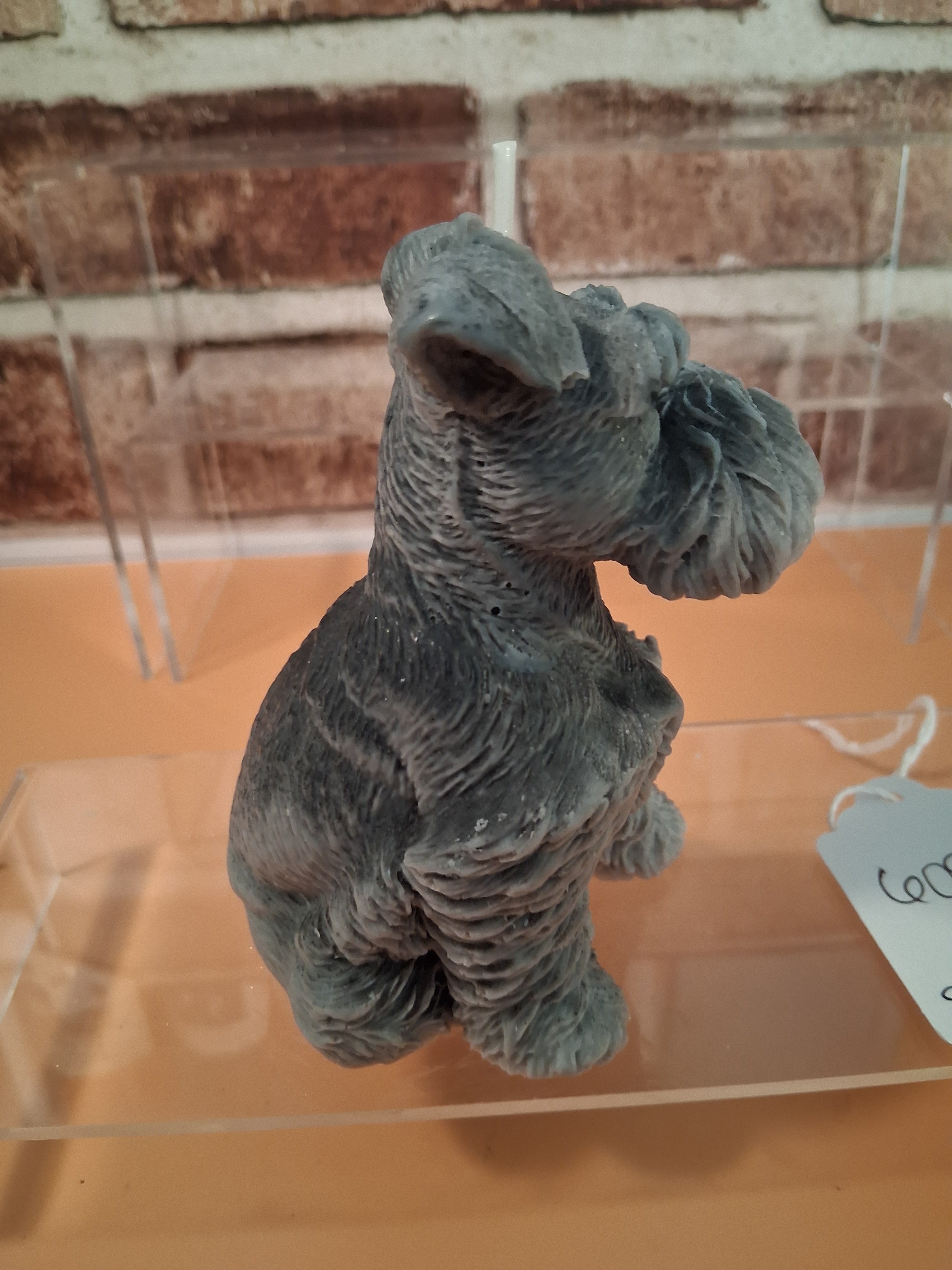Schnauzer Spunkhouse