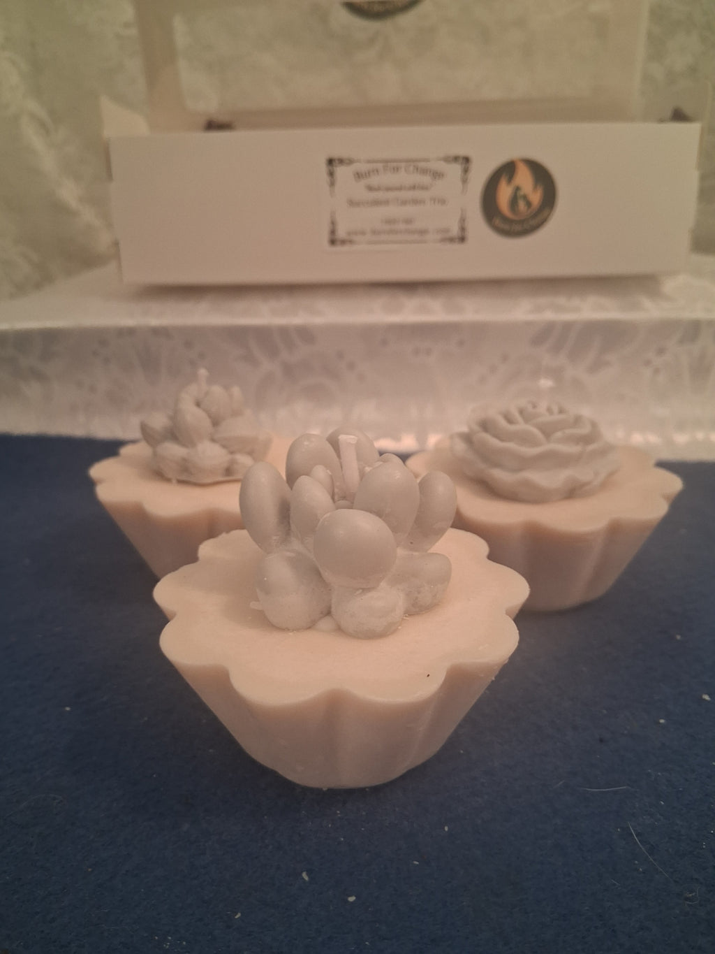 Succulent Garden Trio