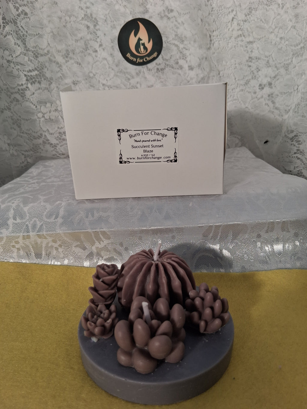 Succulent Sunset Blaze