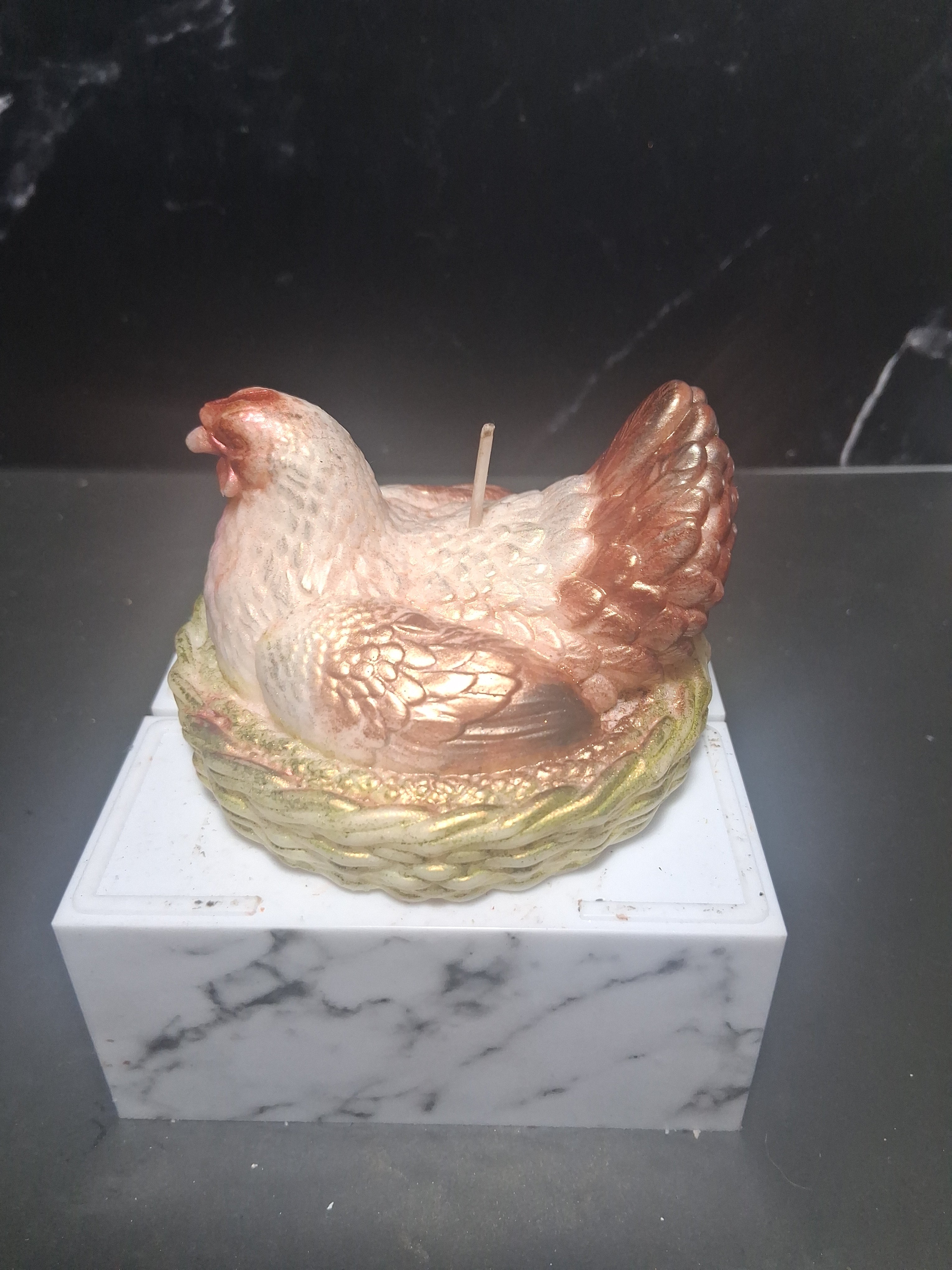 Nesting Hen