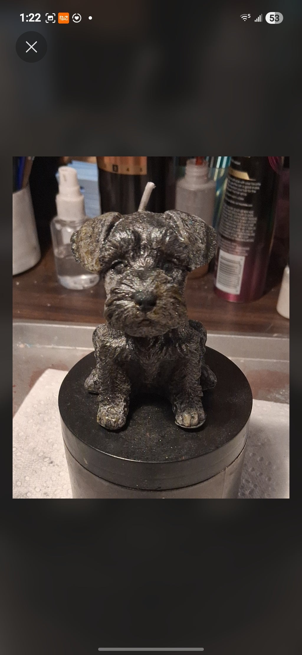 Scottish Terrier