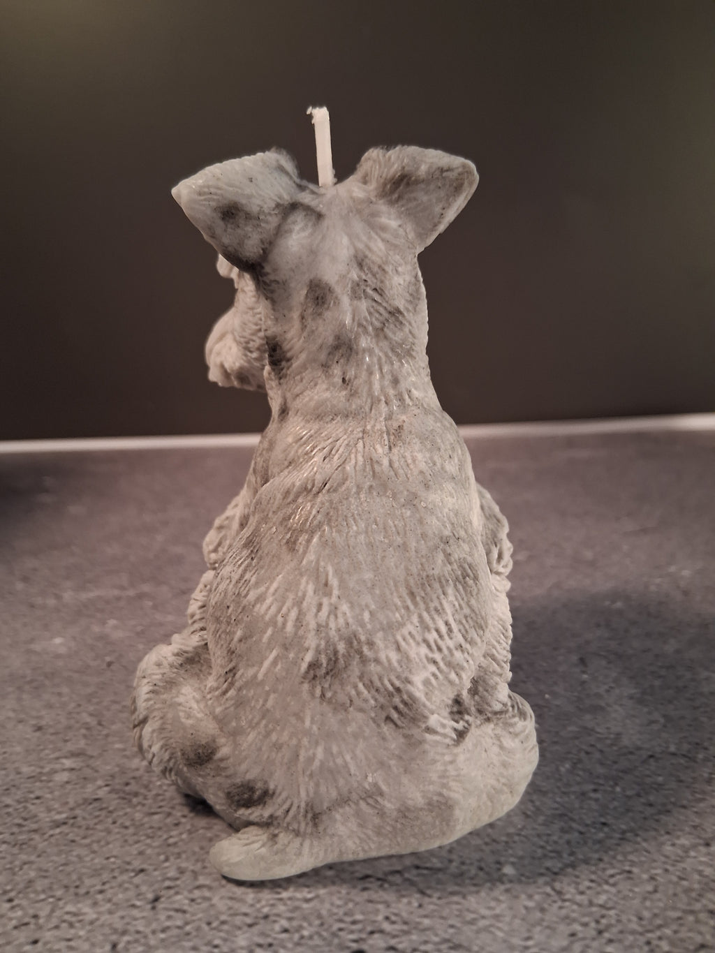 Schnauzer Spunkhouse