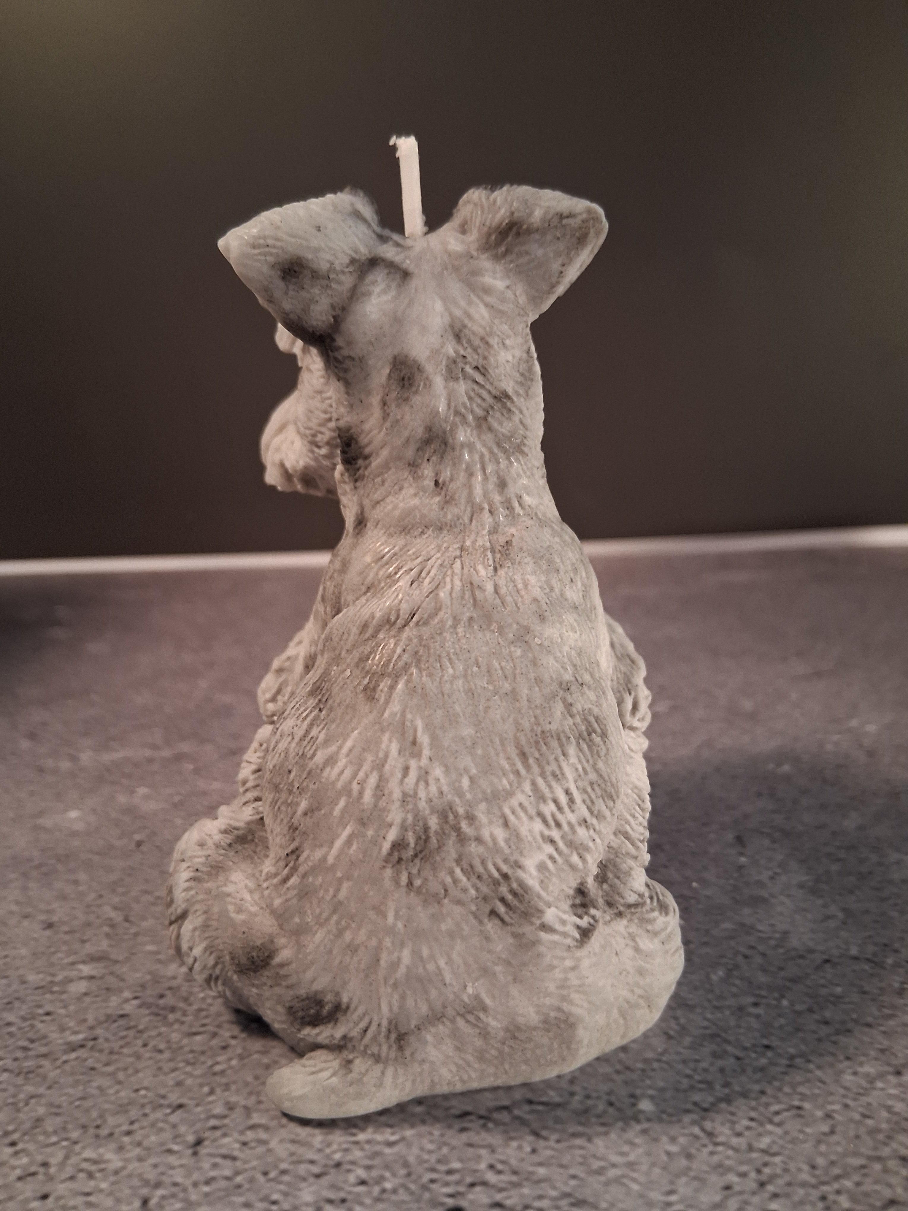 Schnauzer Spunkhouse