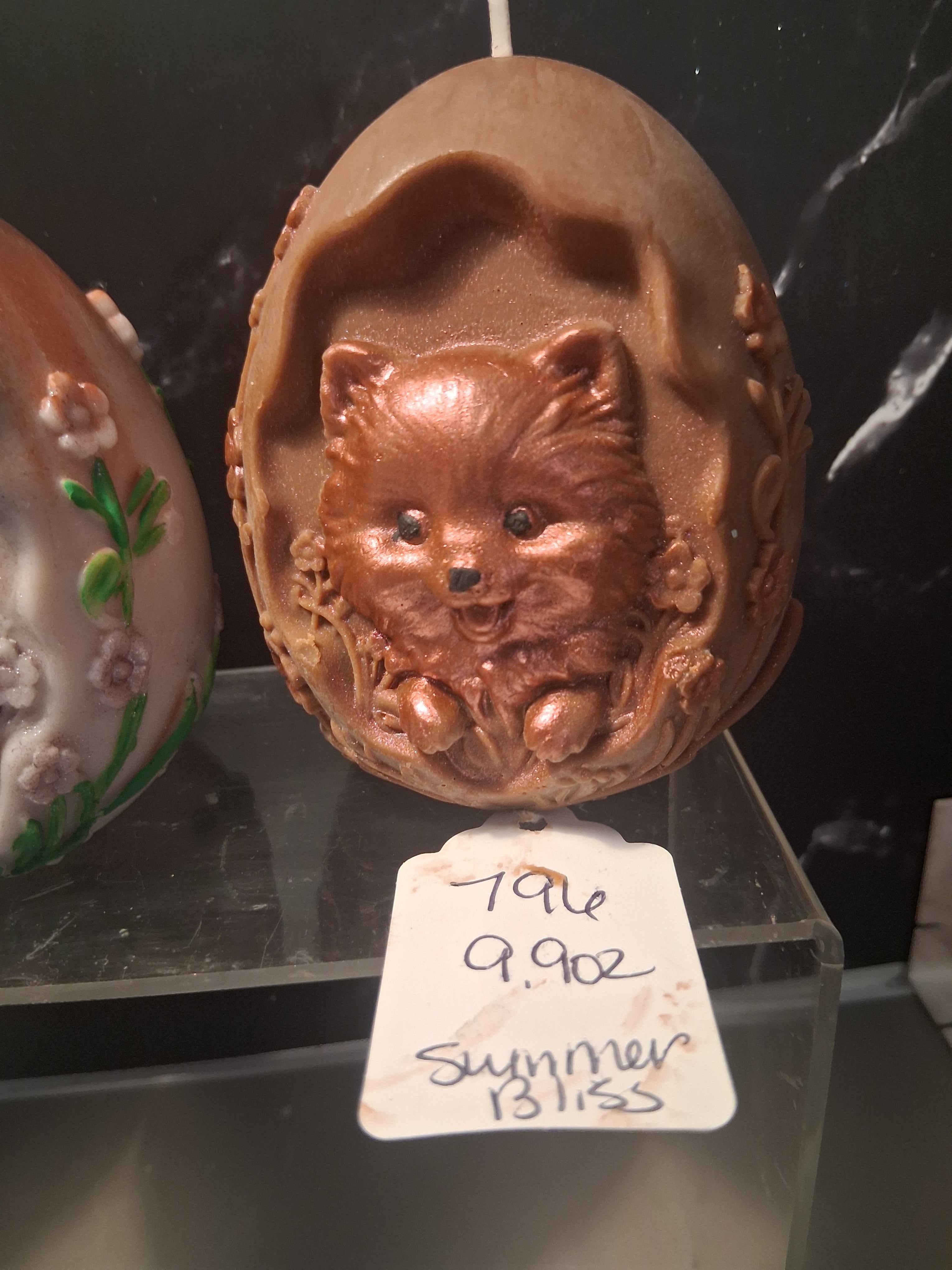 Pom Egg Hatchling