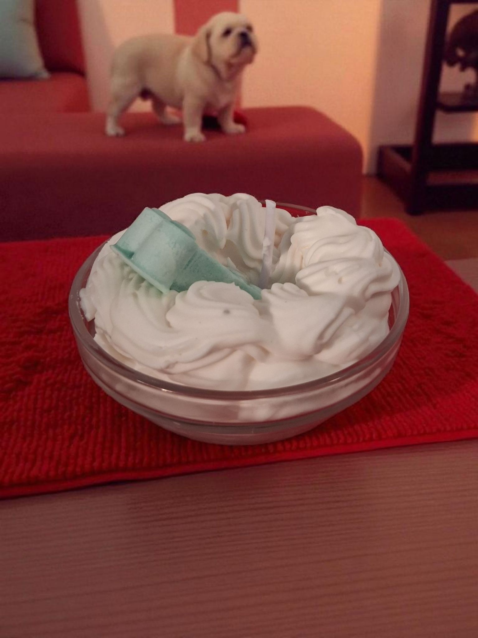 Ultimate Pup Cup