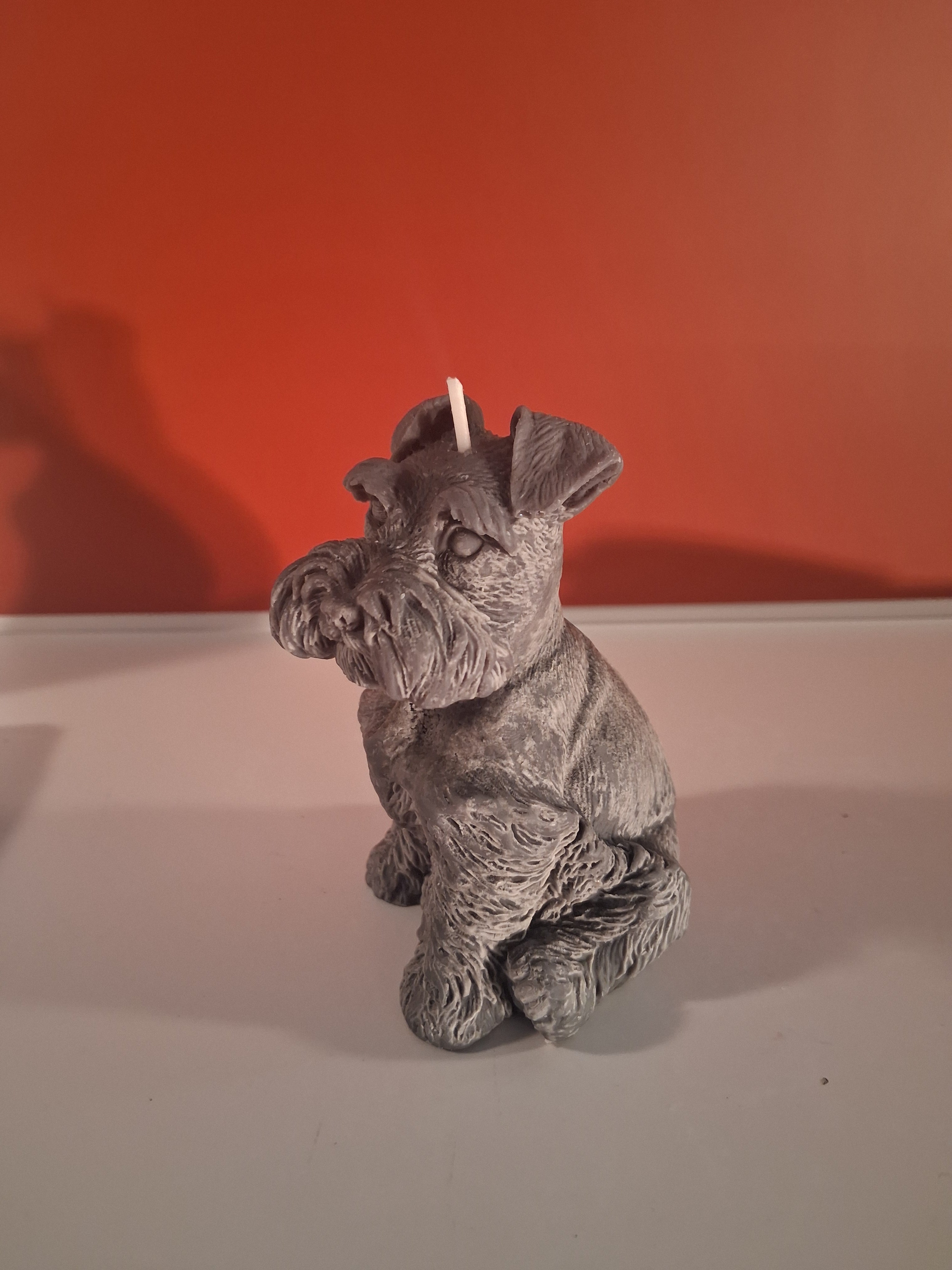 Schnauzer Spunkhouse