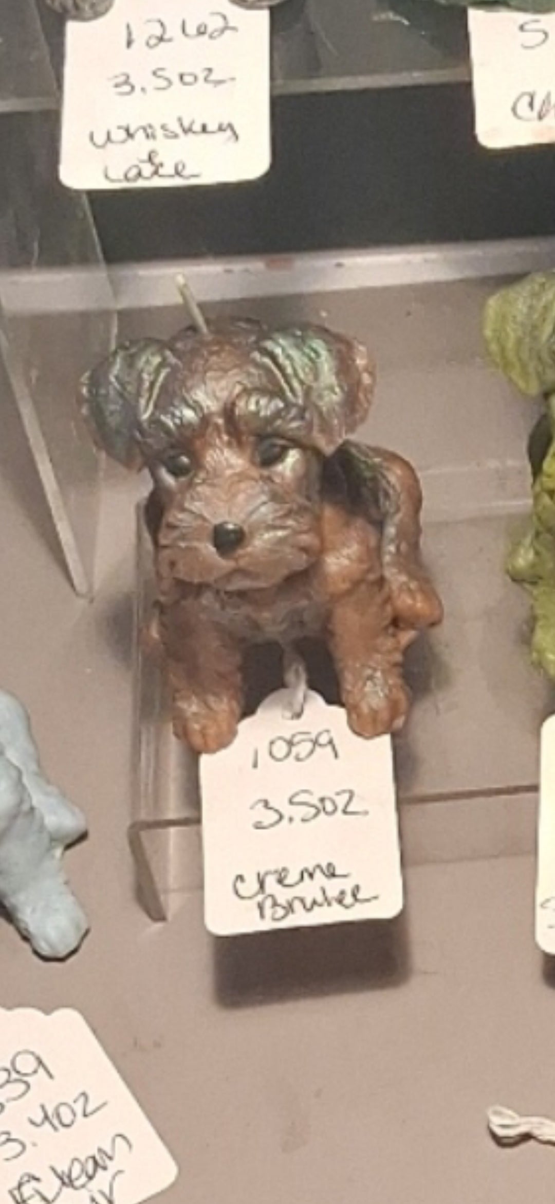 Scottish Terrier