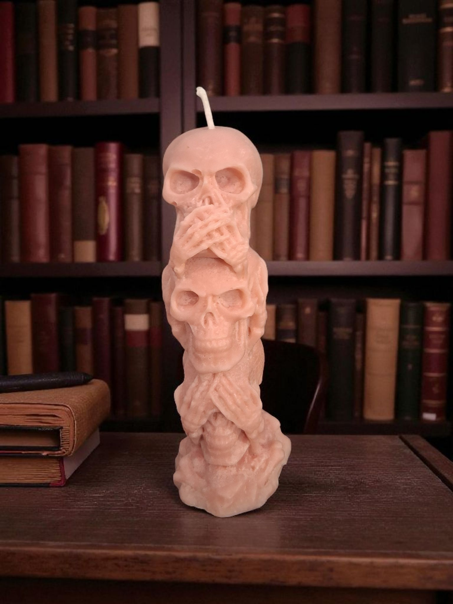 Silent Skull Sentinel ☠️