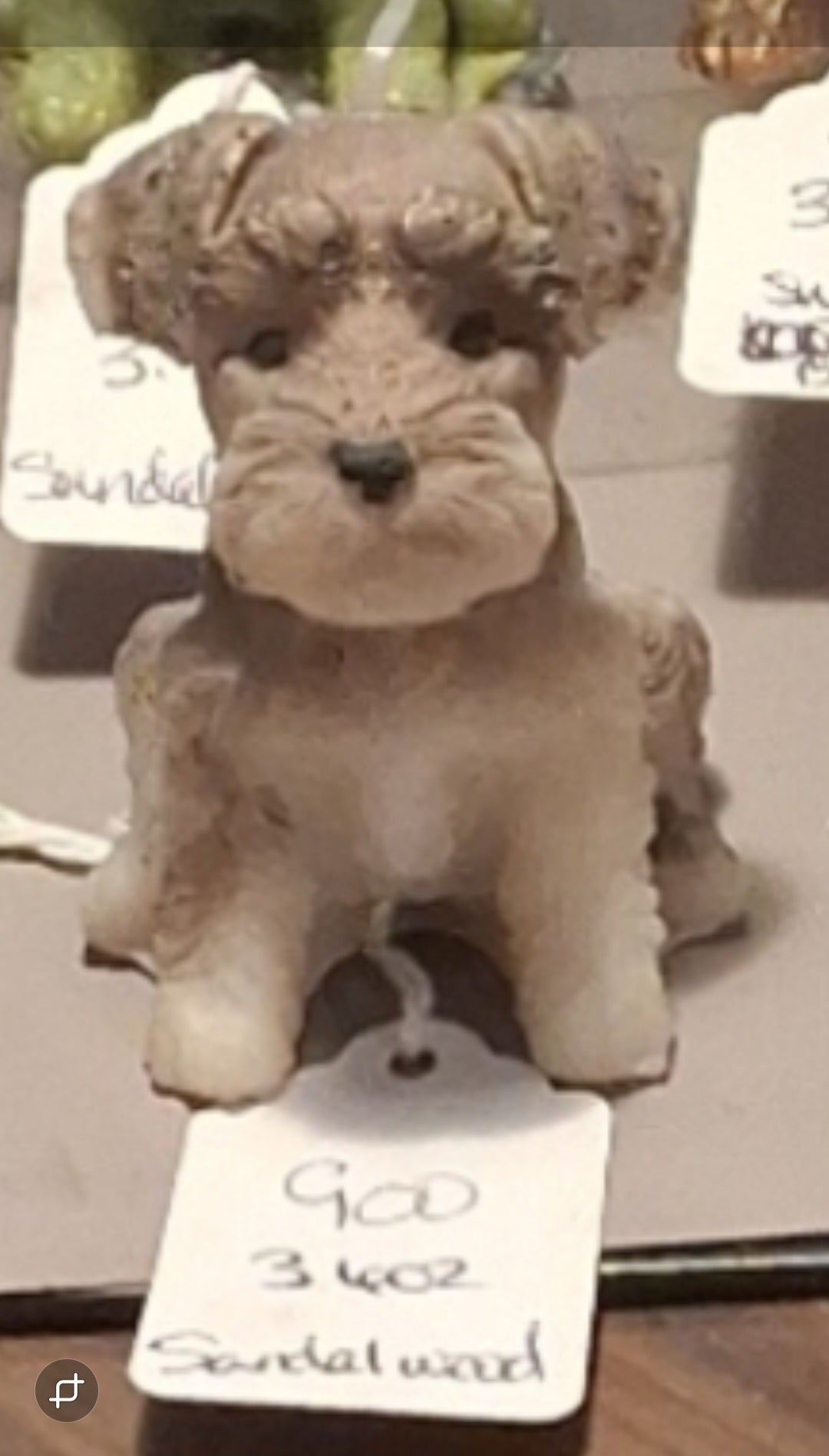 Scottish Terrier