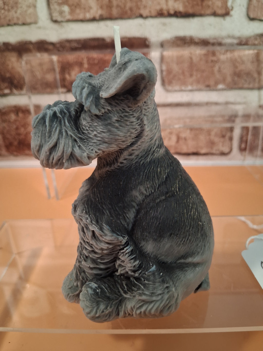 Schnauzer Spunkhouse