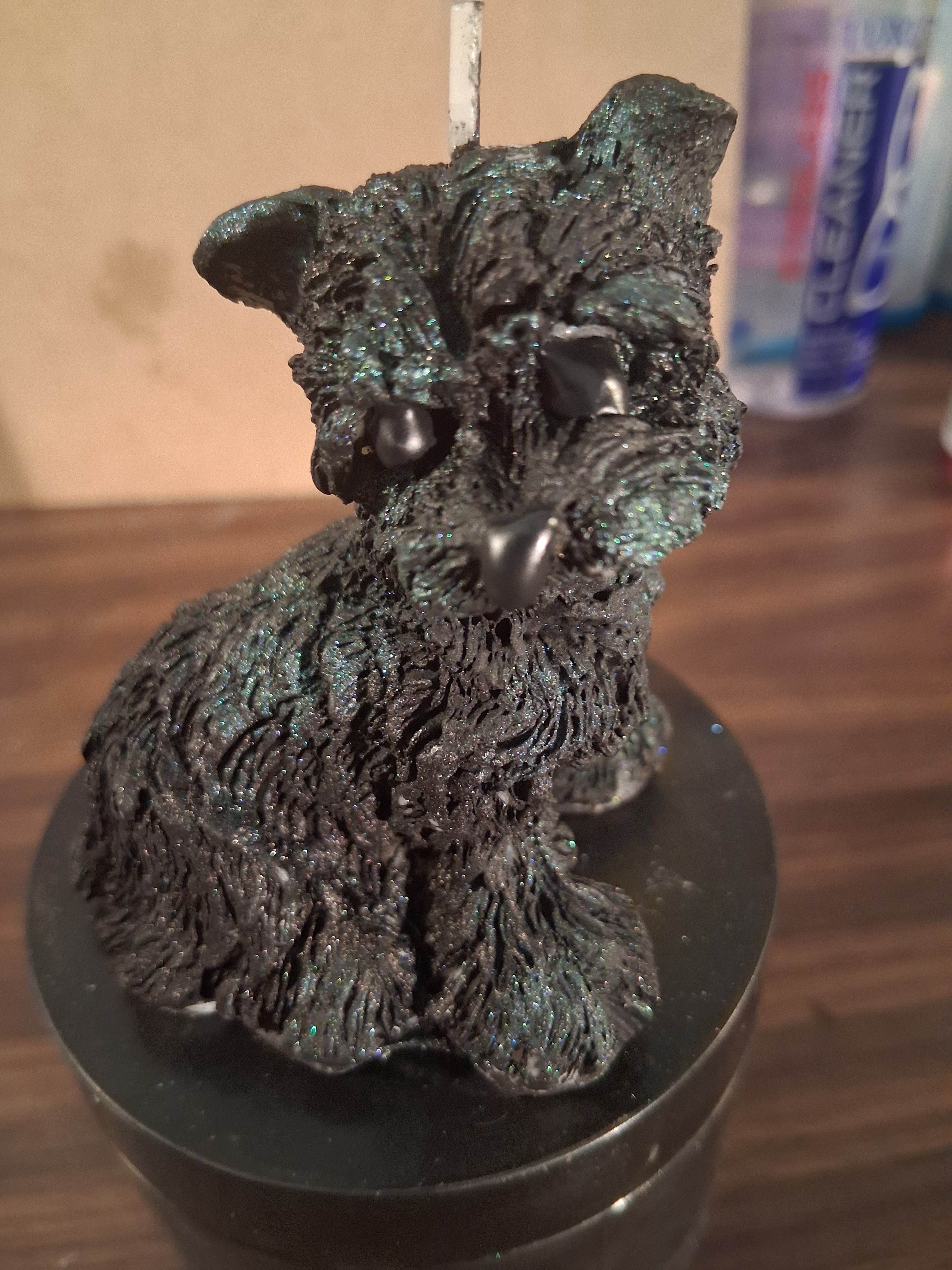 Scruffy Terrier