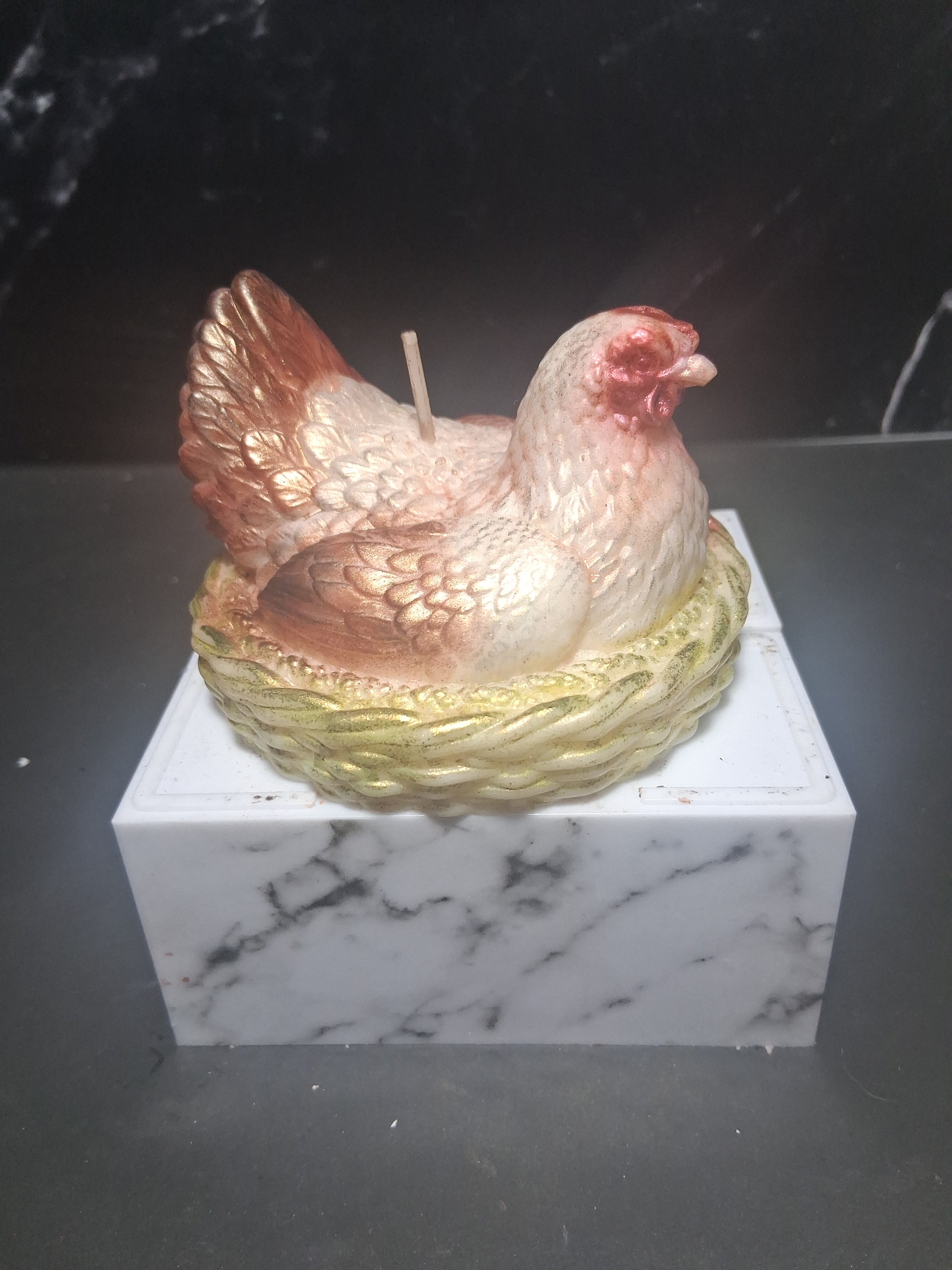 Nesting Hen
