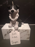 Brilliant Border Collie