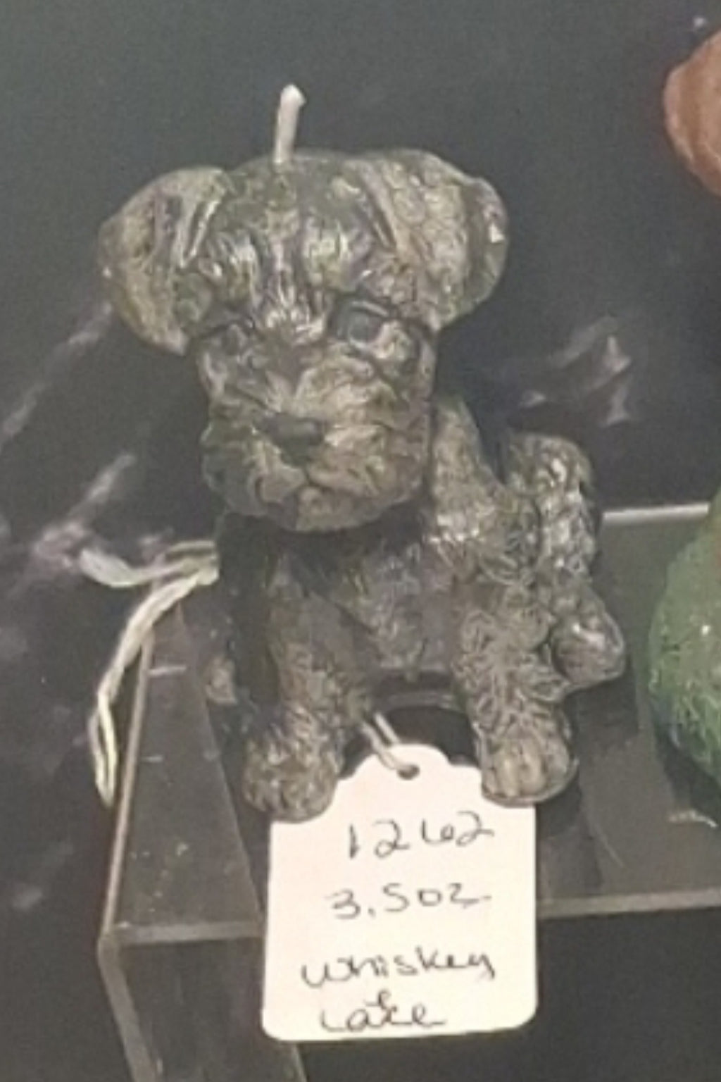 Scottish Terrier
