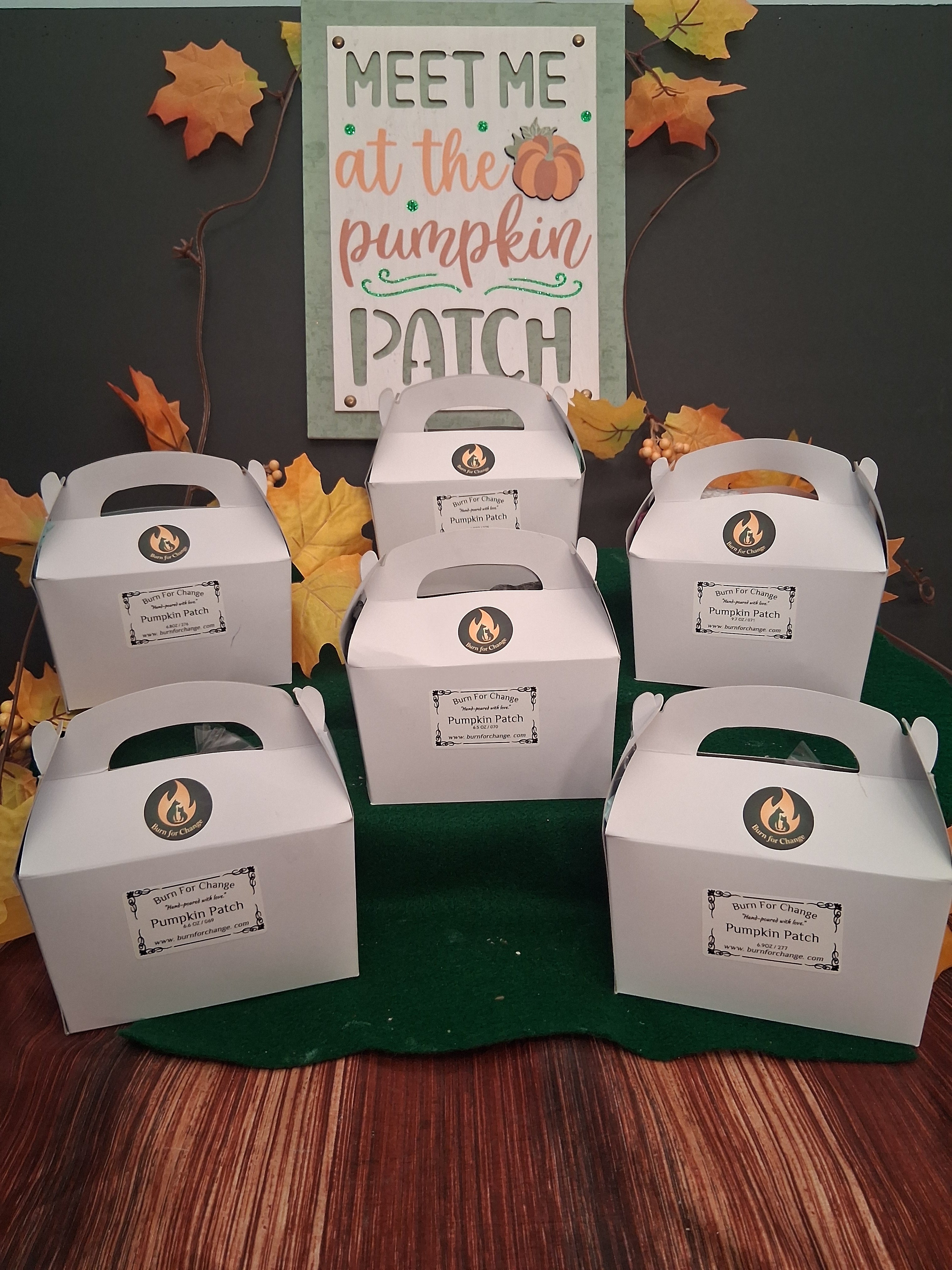 Pumpkin Patch 6 (Set of 2)