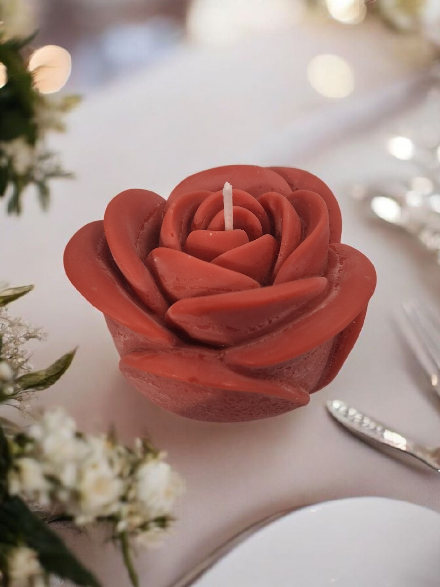 Solitary Rose Blaze 2