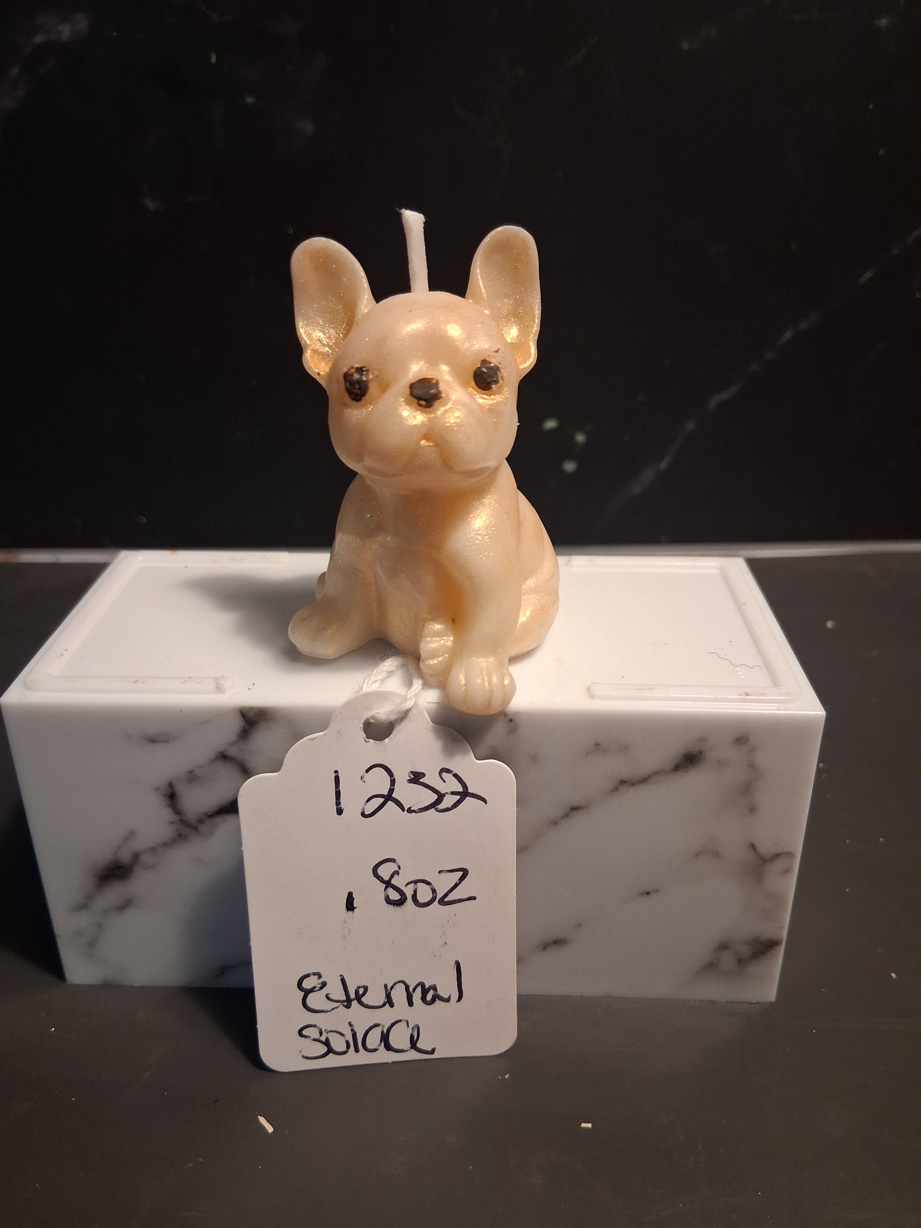 Frenchie Pup Flicker