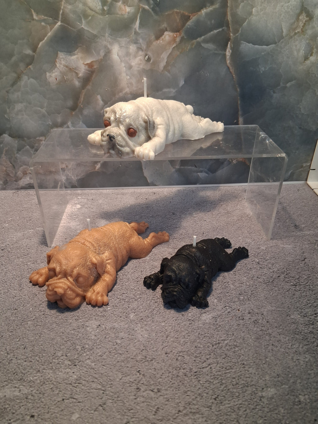 The Splooting Pug