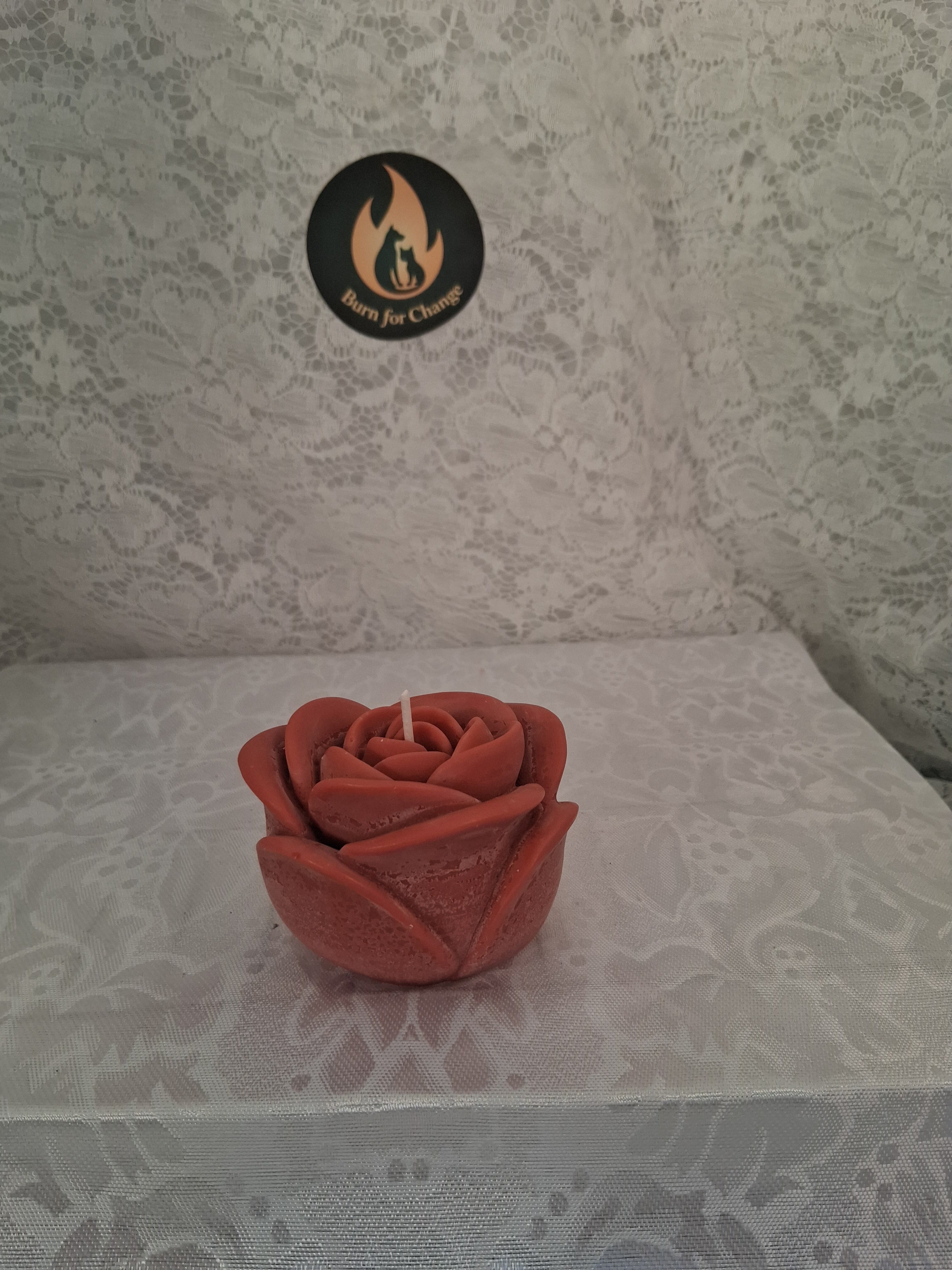 Solitary Rose Blaze 2