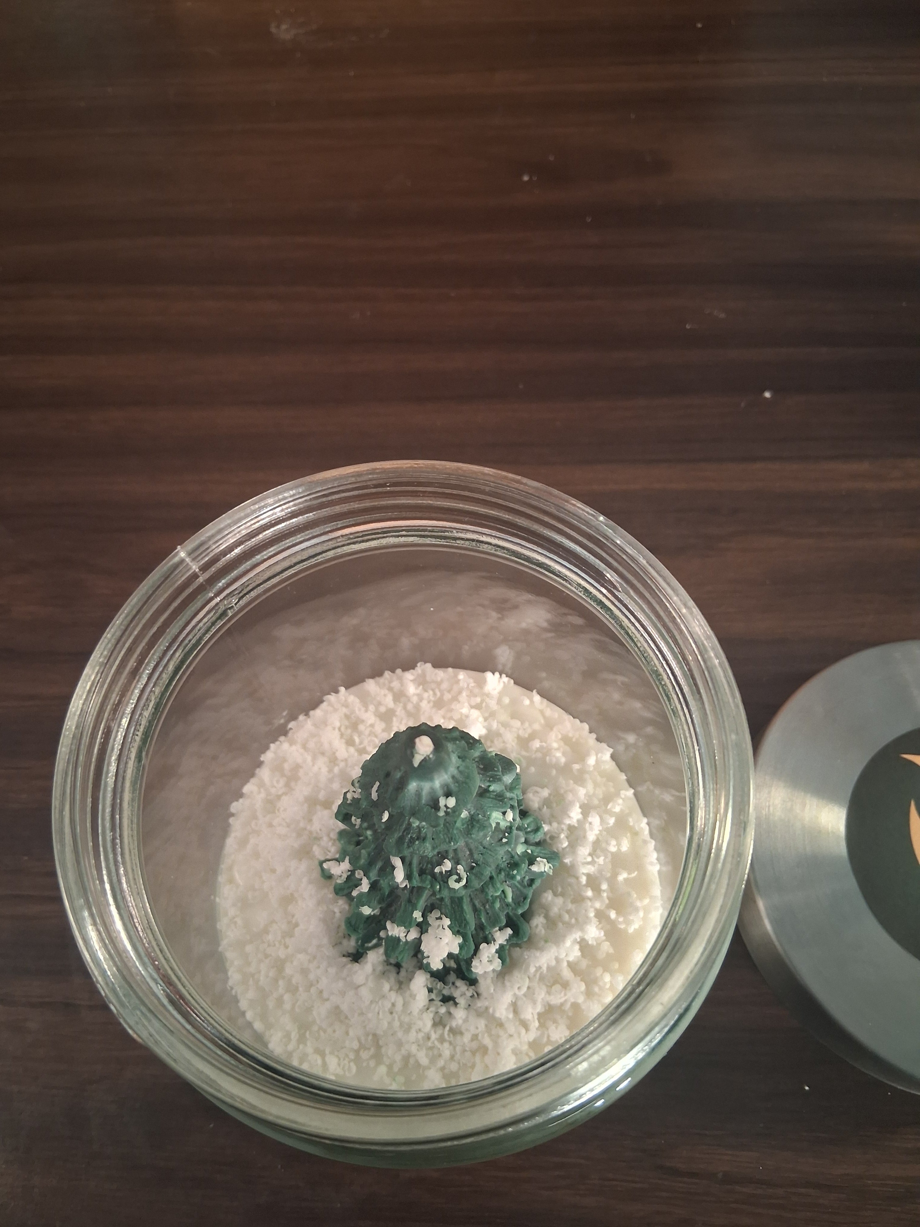 Eternal Evergreen Ember