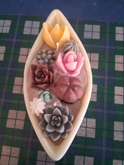 Blossom Voyage