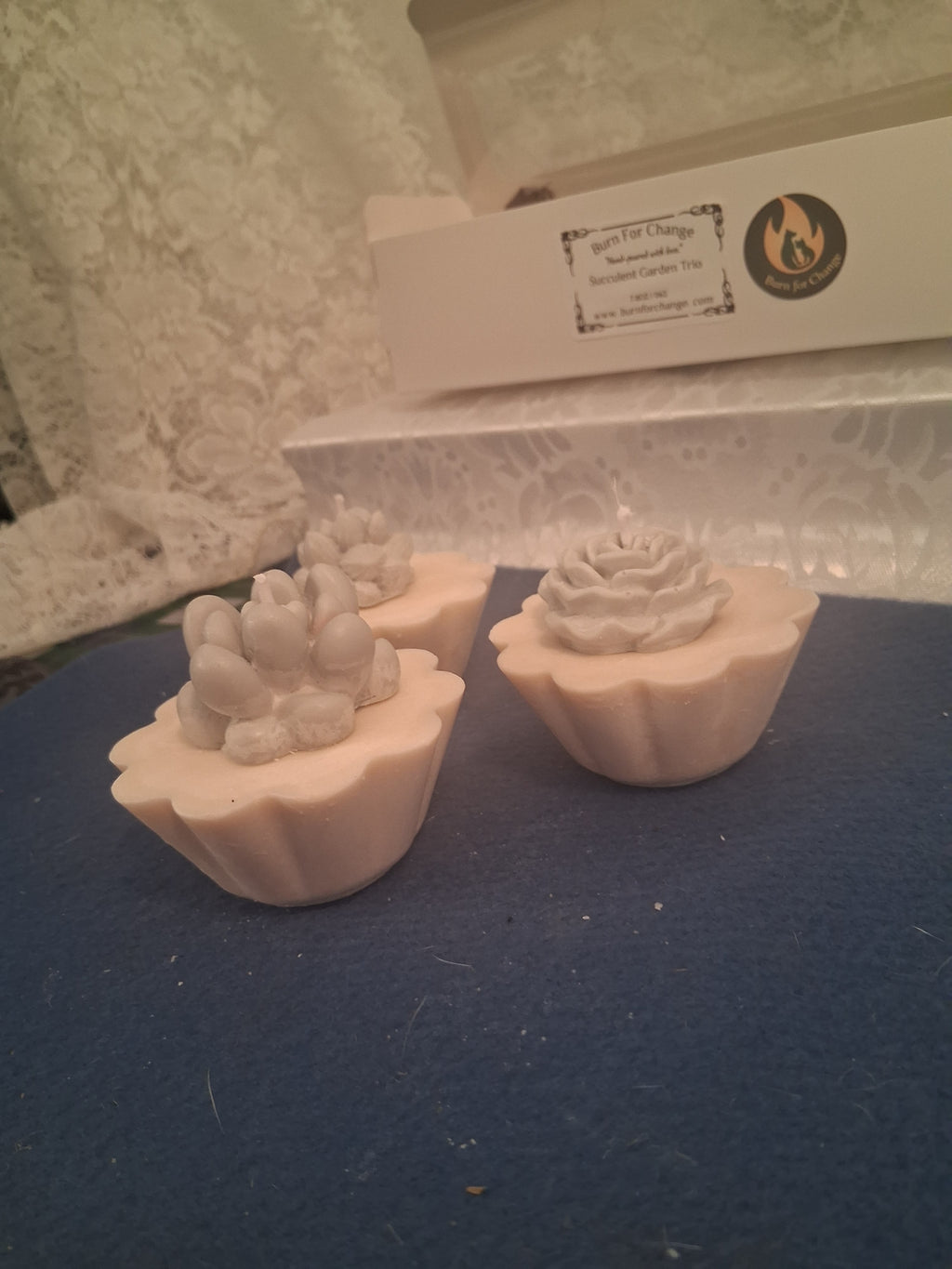 Succulent Garden Trio