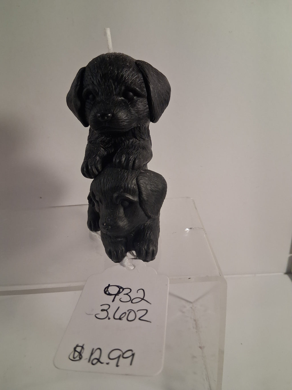 Pup Paw Prism