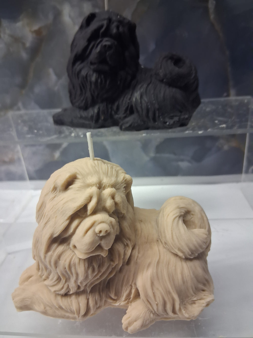Tibetan Mastiff