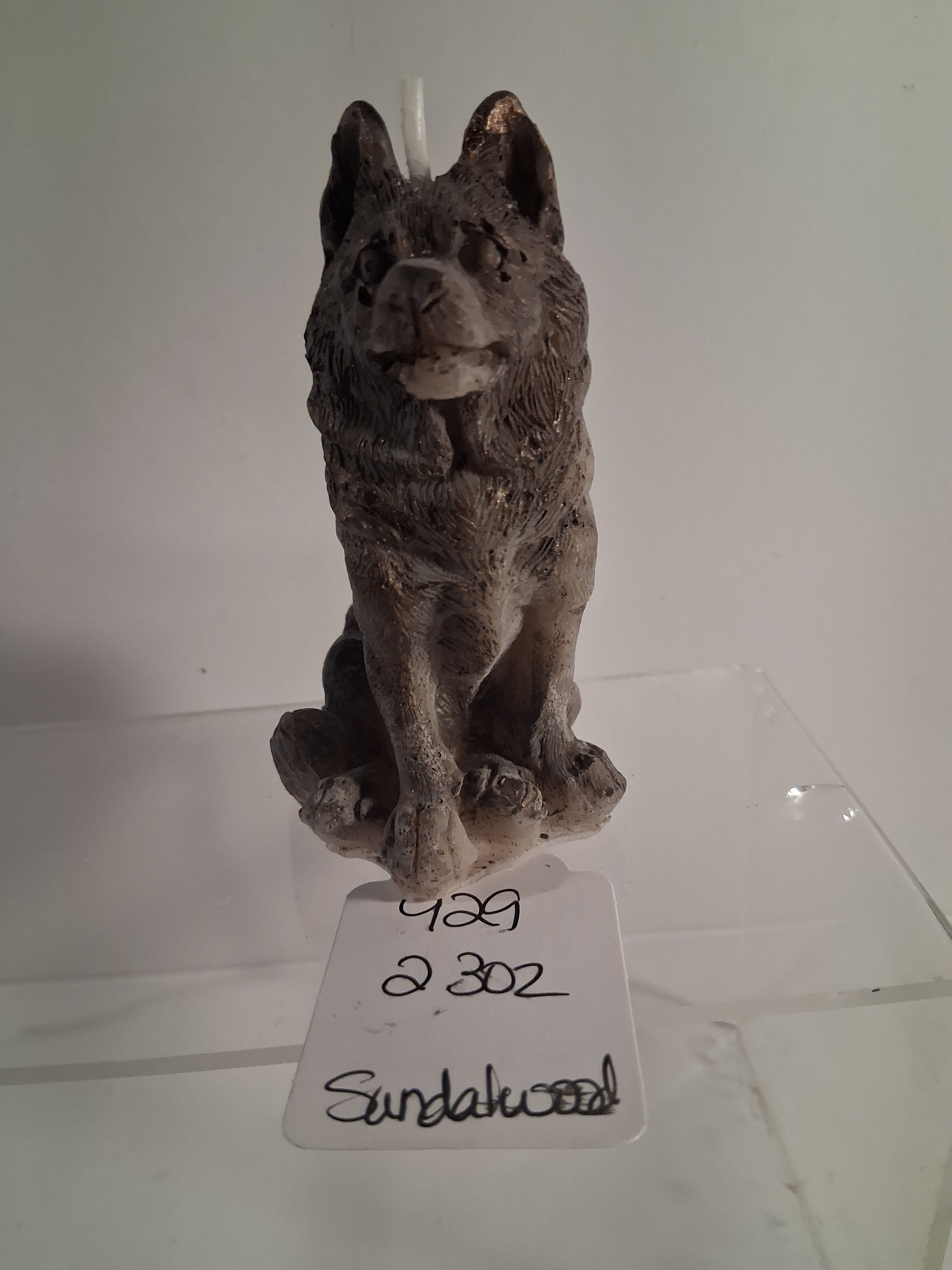 Faithful Shepherd