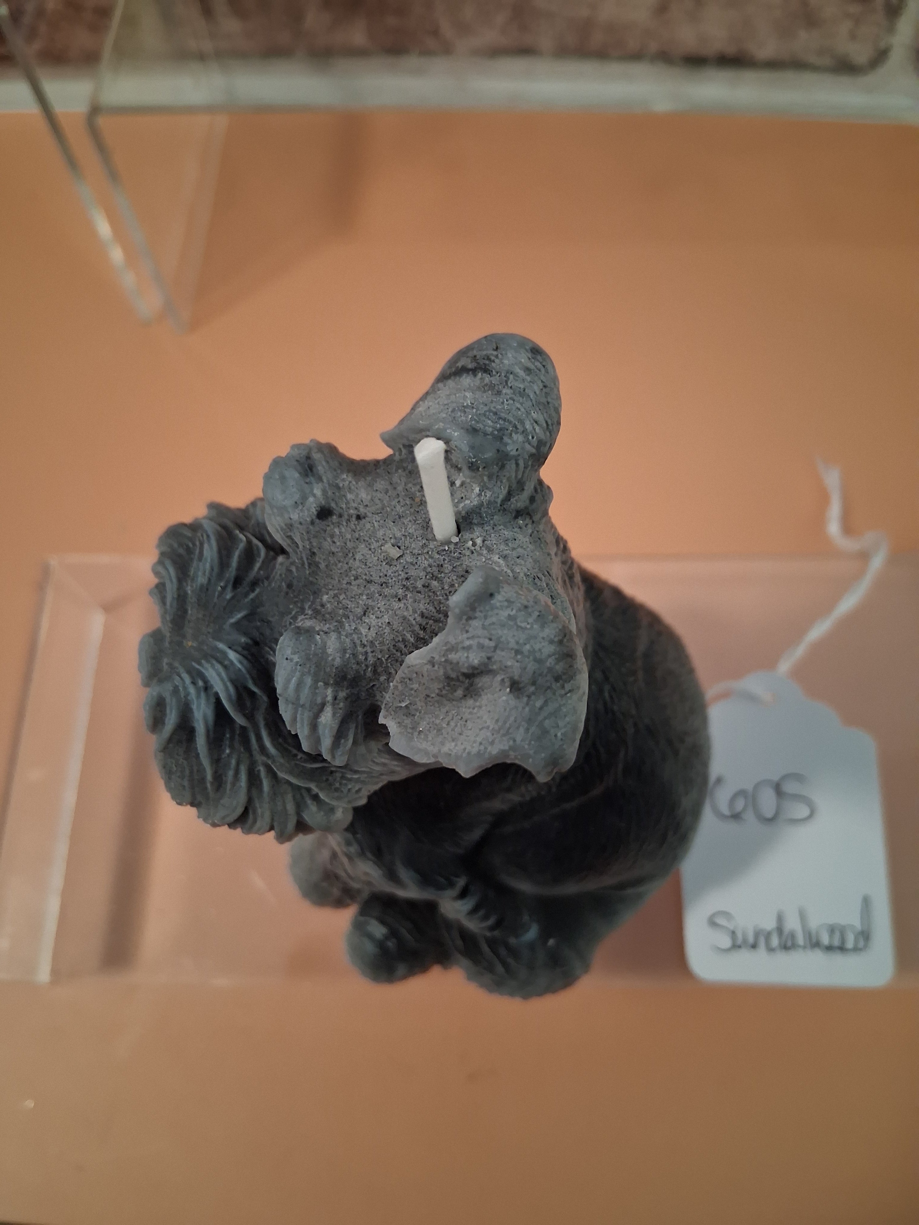Schnauzer Spunkhouse