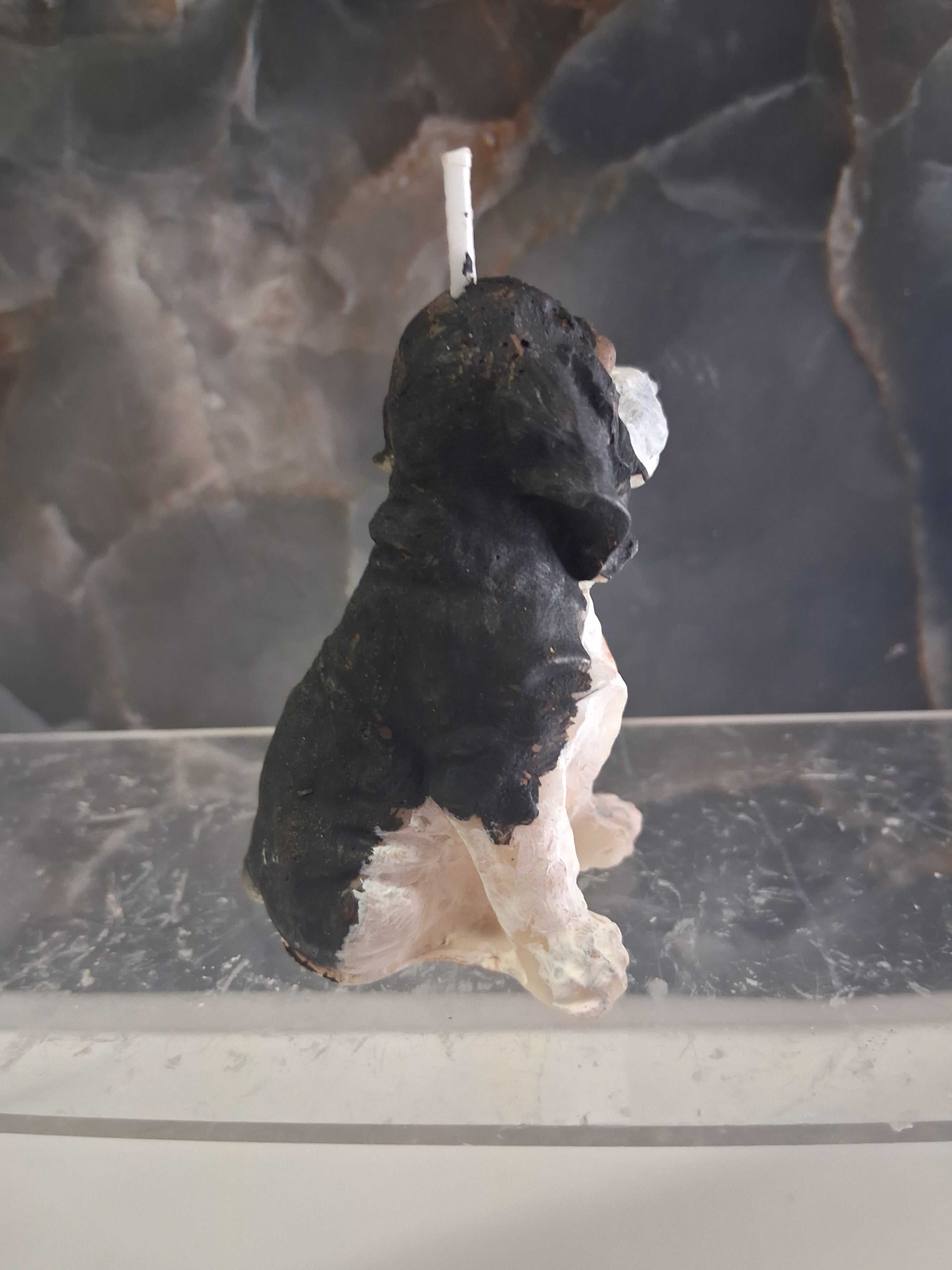 Bloodhound Trail Torch