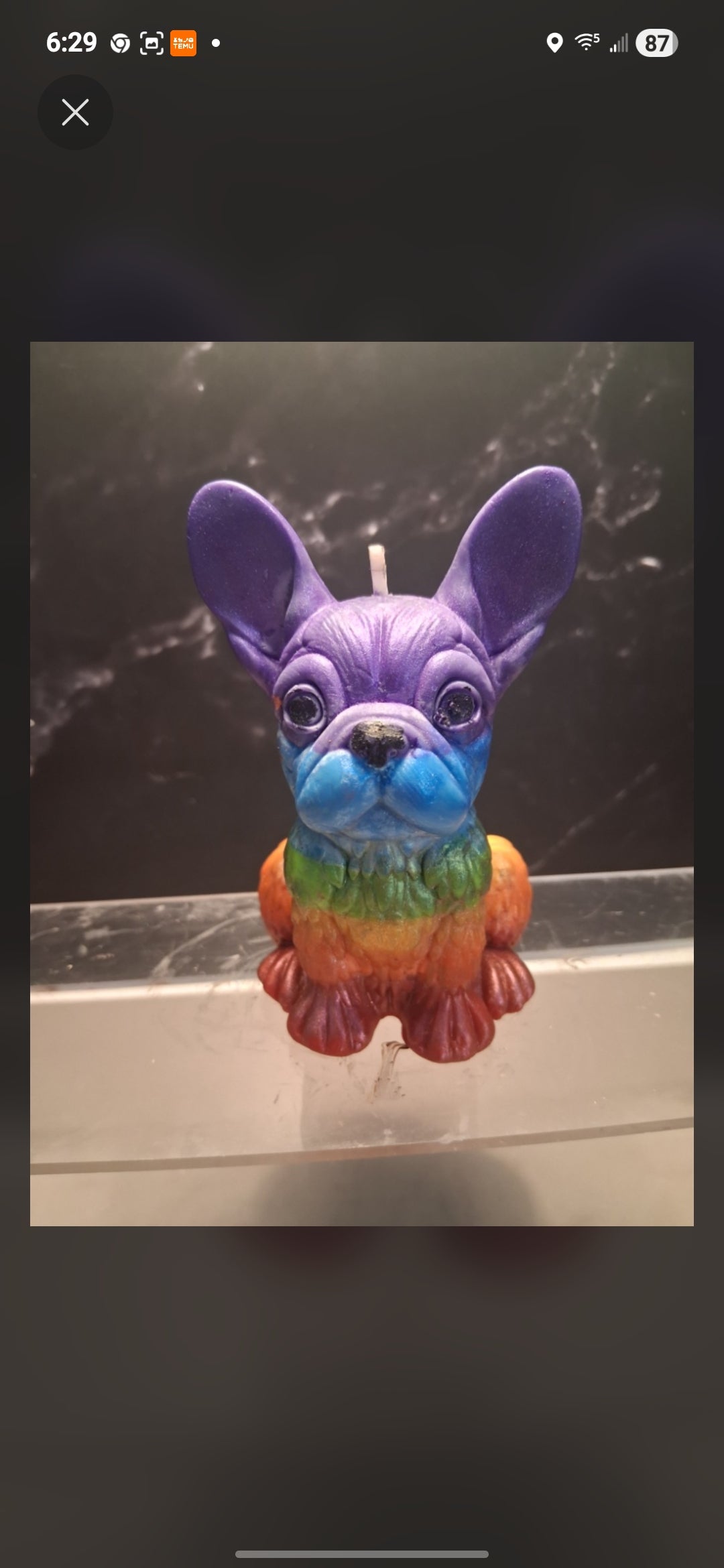 Firelight Frenchie