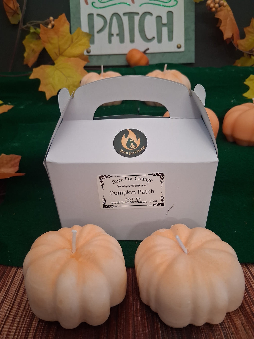 Pumpkin Patch 4 (Set of 2)