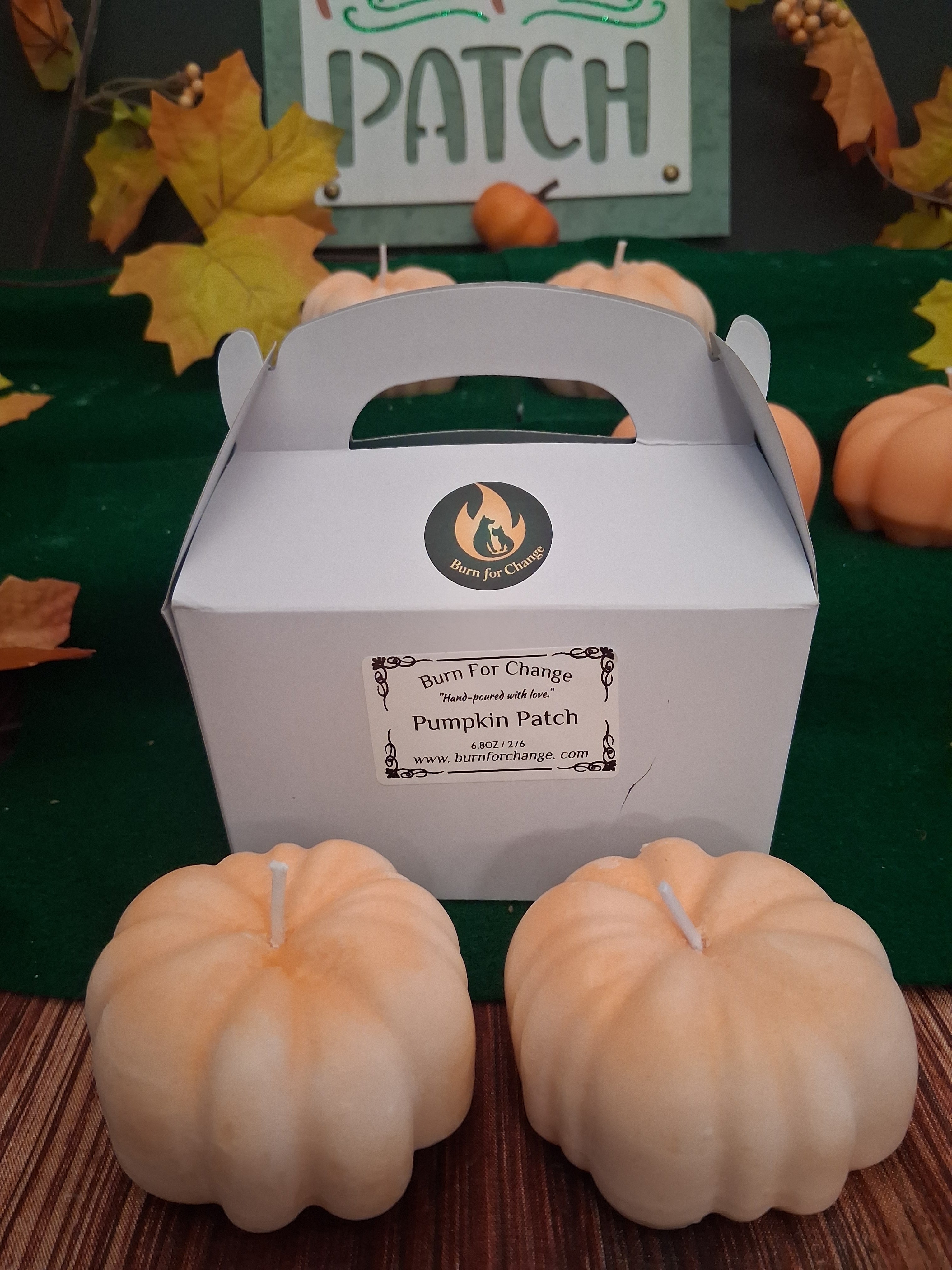 Pumpkin Patch 4 (Set of 2)