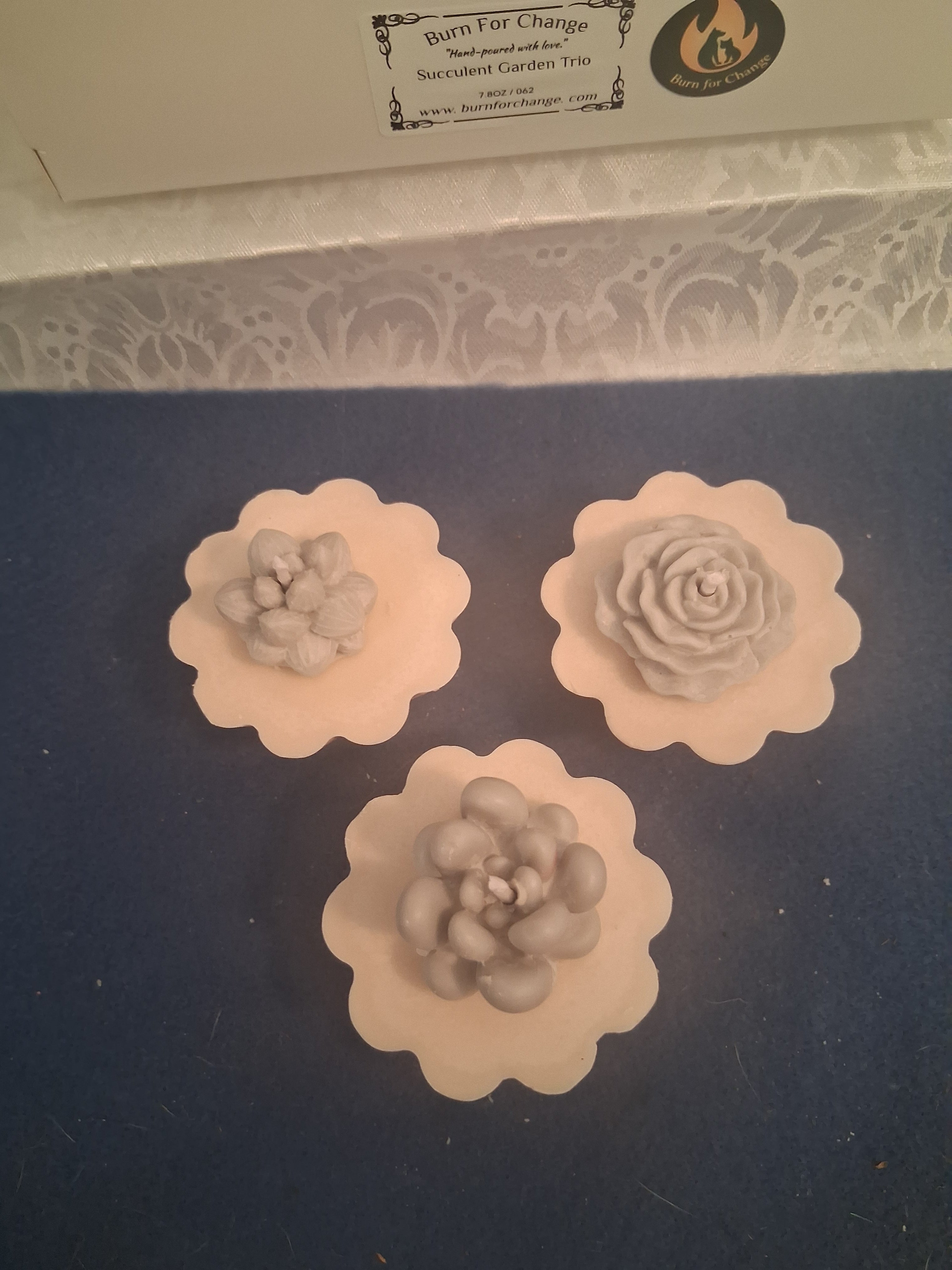 Succulent Garden Trio